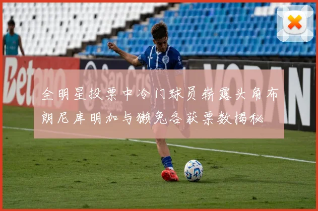 全明星投票中冷门球员崭露头角布朗尼库明加与獭兔各获票数揭秘