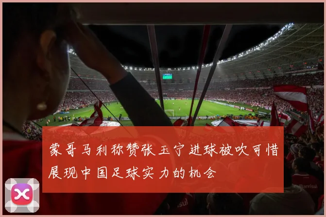 蒙哥马利称赞张玉宁进球被吹可惜展现中国足球实力的机会
